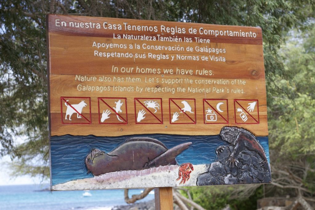 Are Galapagos Islands Safe for Tourists? My Trip To Ecuador