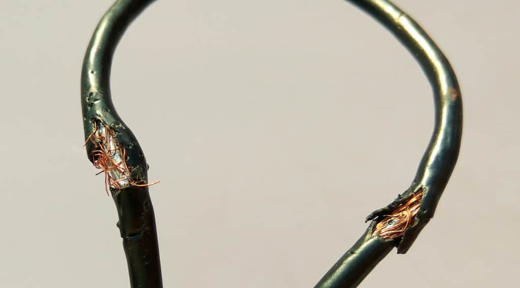 Shower Power Fail Why Your Electric Shower Keeps Tripping My Trusted