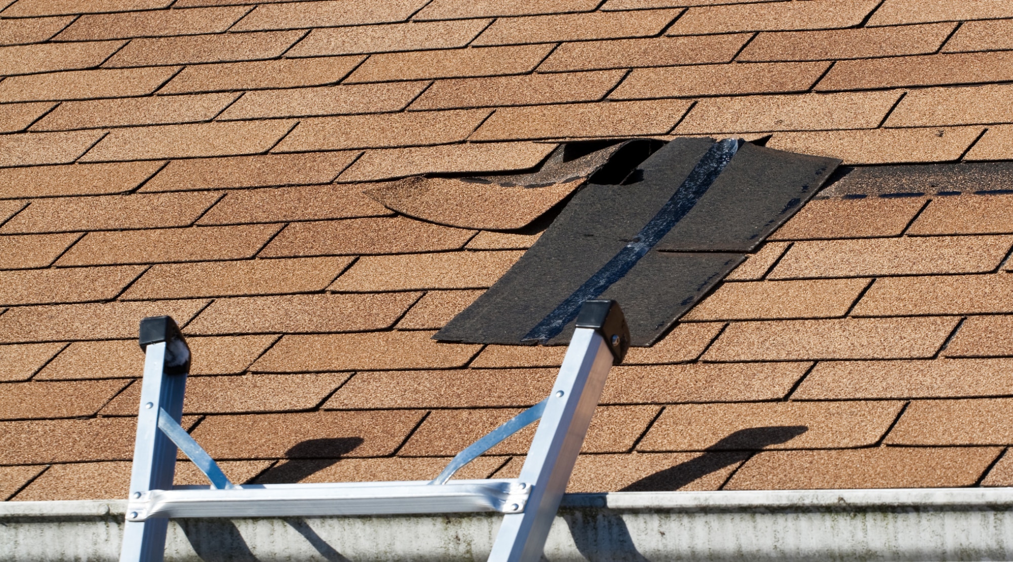 Beware of Flat Roof Bubbling The Silent Destroyer My Trusted Expert