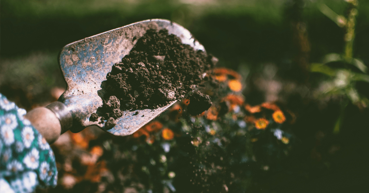 Top FamilyFriendly Garden Projects to Try This Weekend