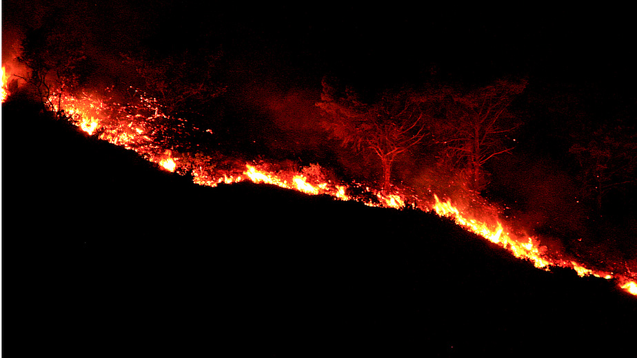 Comunità Montana Di Valcamonica, Un Corso Per L'antincendio Boschivo - Myvalley.it Notizie!! 520_x_924_jpg