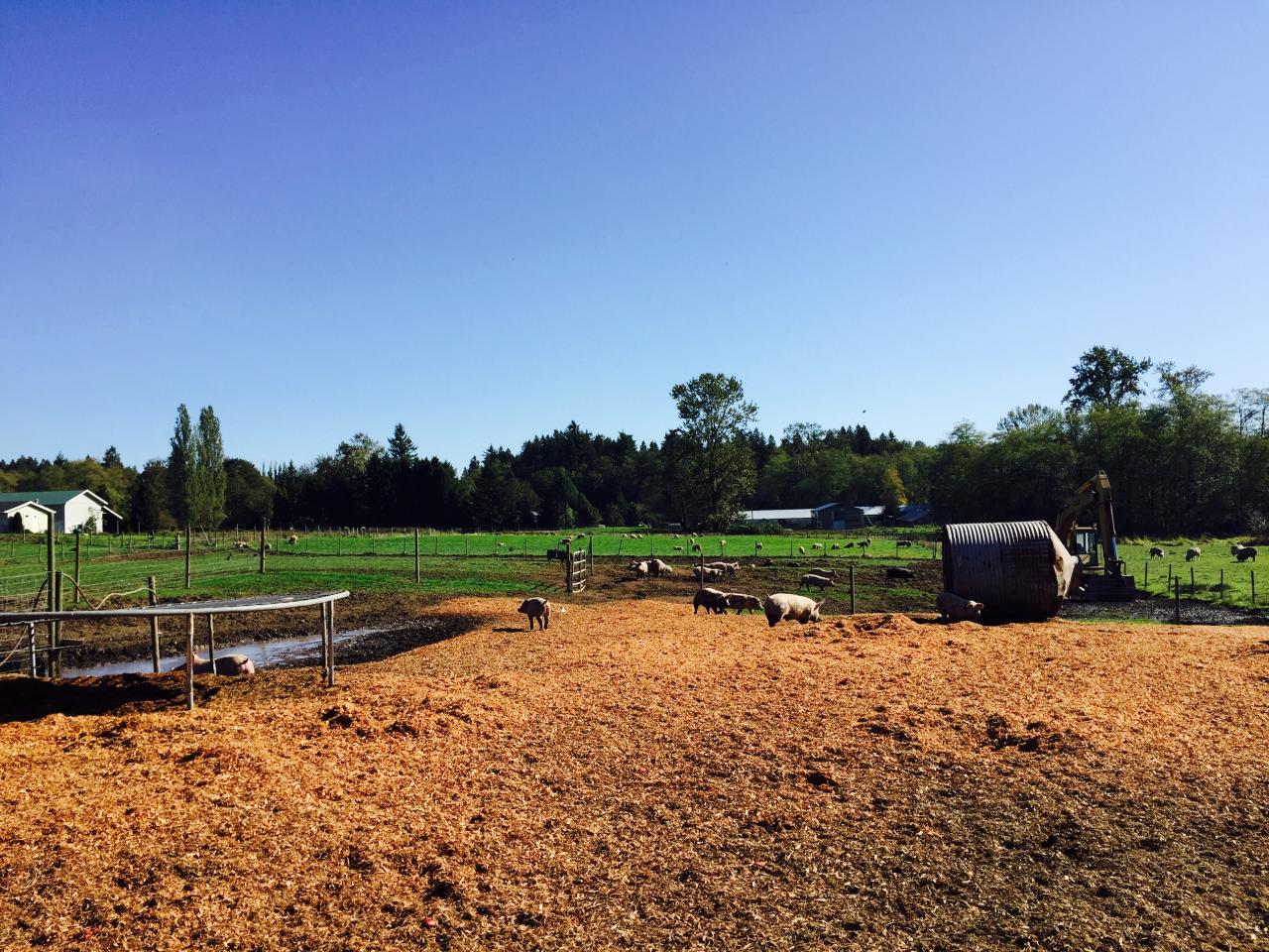Farm to Table in the Fraser Valley My VanCity