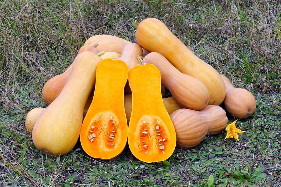 TasteofThursday Squash Soup recipe Chef Rob Feenie My VanCity