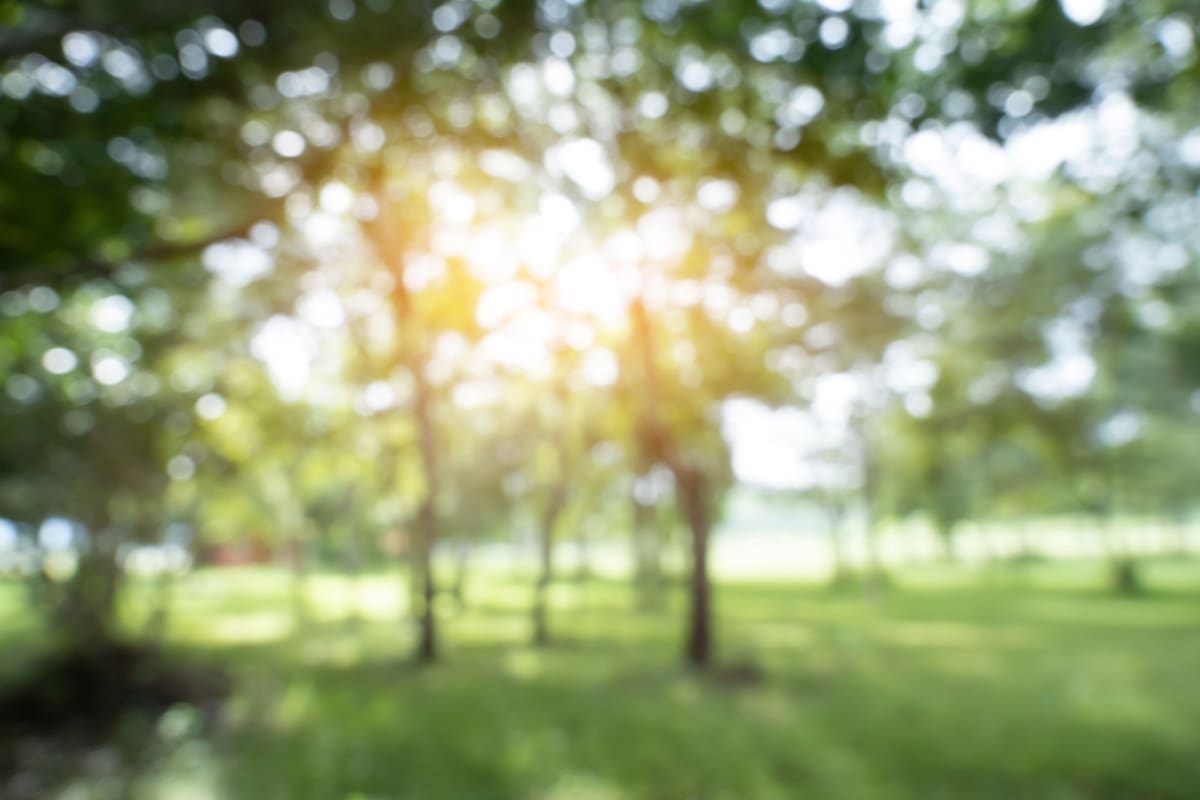 What Does Vision Look Like With Cataracts?