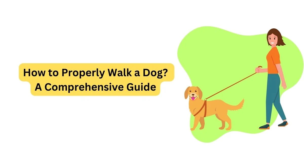 How to Properly Walk a Dog A Comprehensive Guide Waggle
