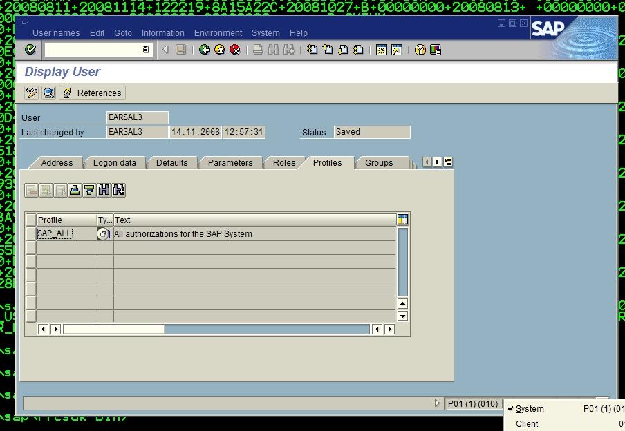 Joann's Blog SAP ERP System Uncovers 41M in Accounting Errors