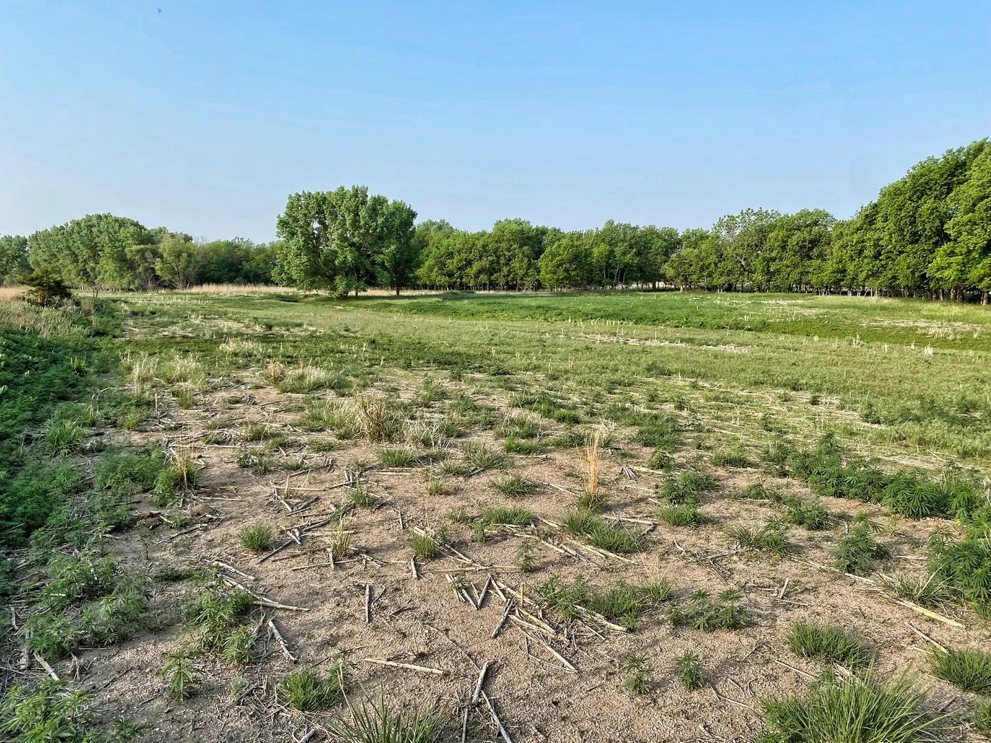 Smith County KS Land For Sale 354+/ Acres Hunting Pasture