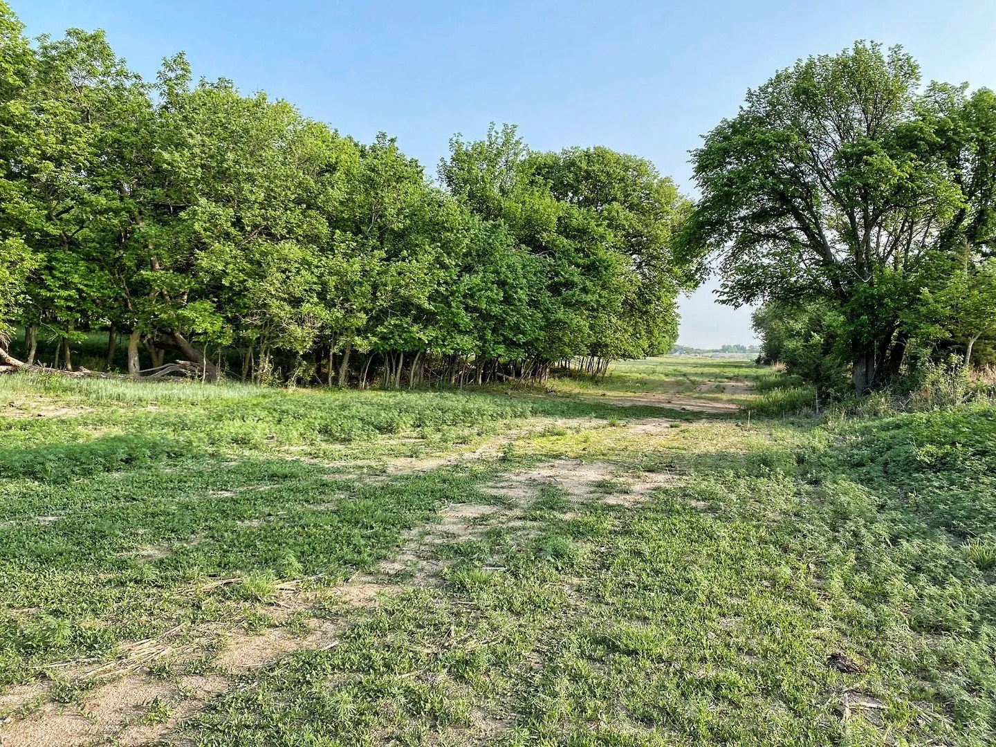 Smith County KS Land For Sale 354+/ Acres Hunting Pasture