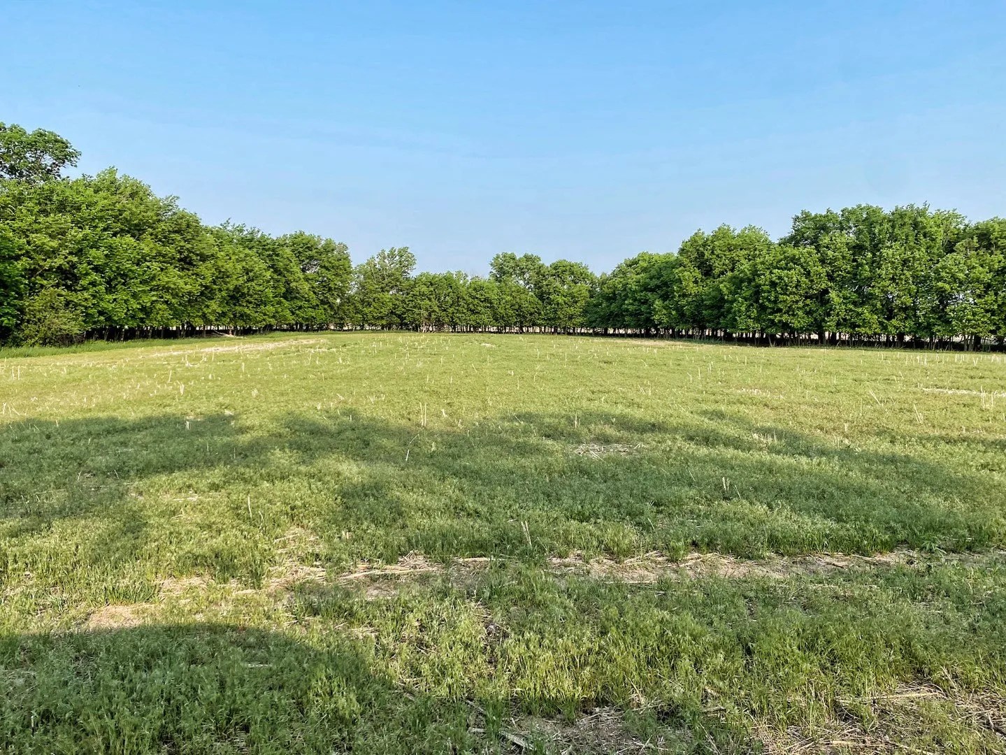 Smith County KS Land For Sale 354+/ Acres Hunting Pasture