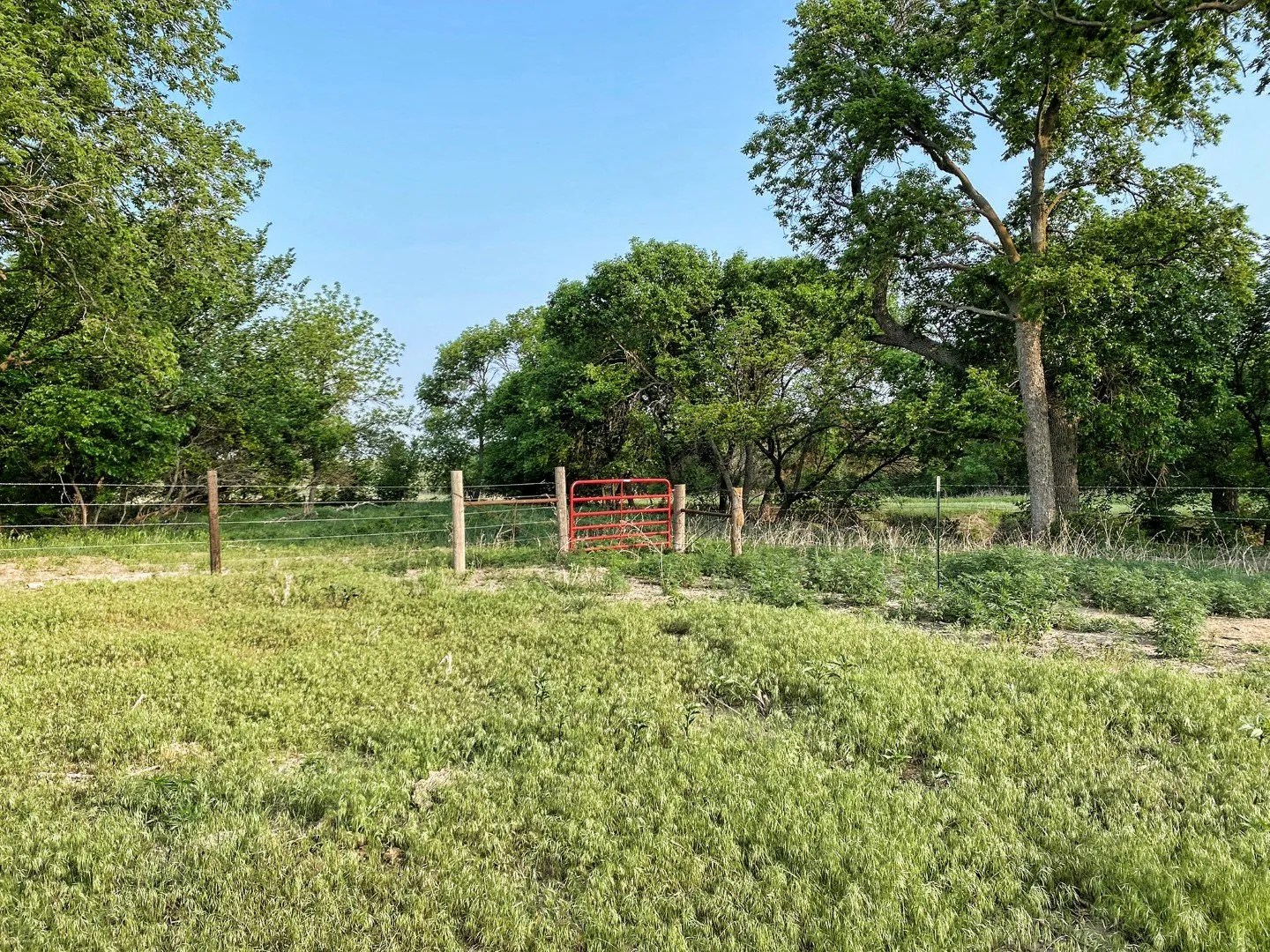 Smith County KS Land For Sale 354+/ Acres Hunting Pasture