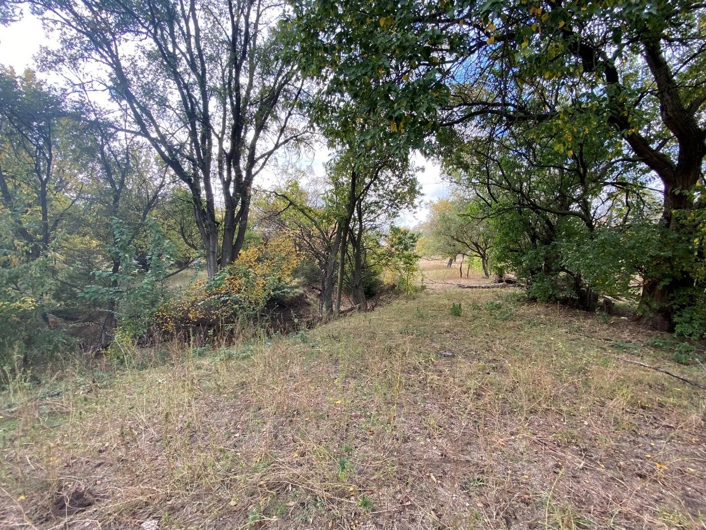 77 Acres Jewell County, KS Land With Pond, Electric & Well Wildlife