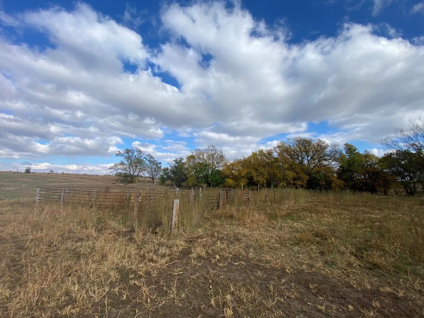 77 Acres Jewell County, KS Land With Pond, Electric & Well Wildlife