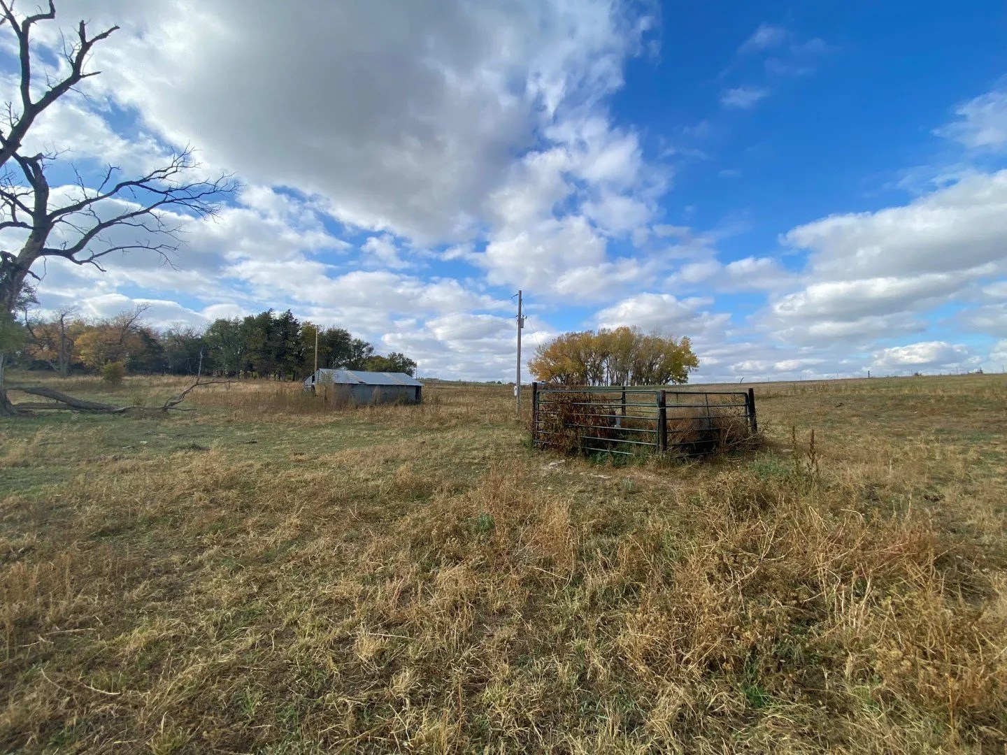 77 Acres Jewell County, KS Land With Pond, Electric & Well Wildlife
