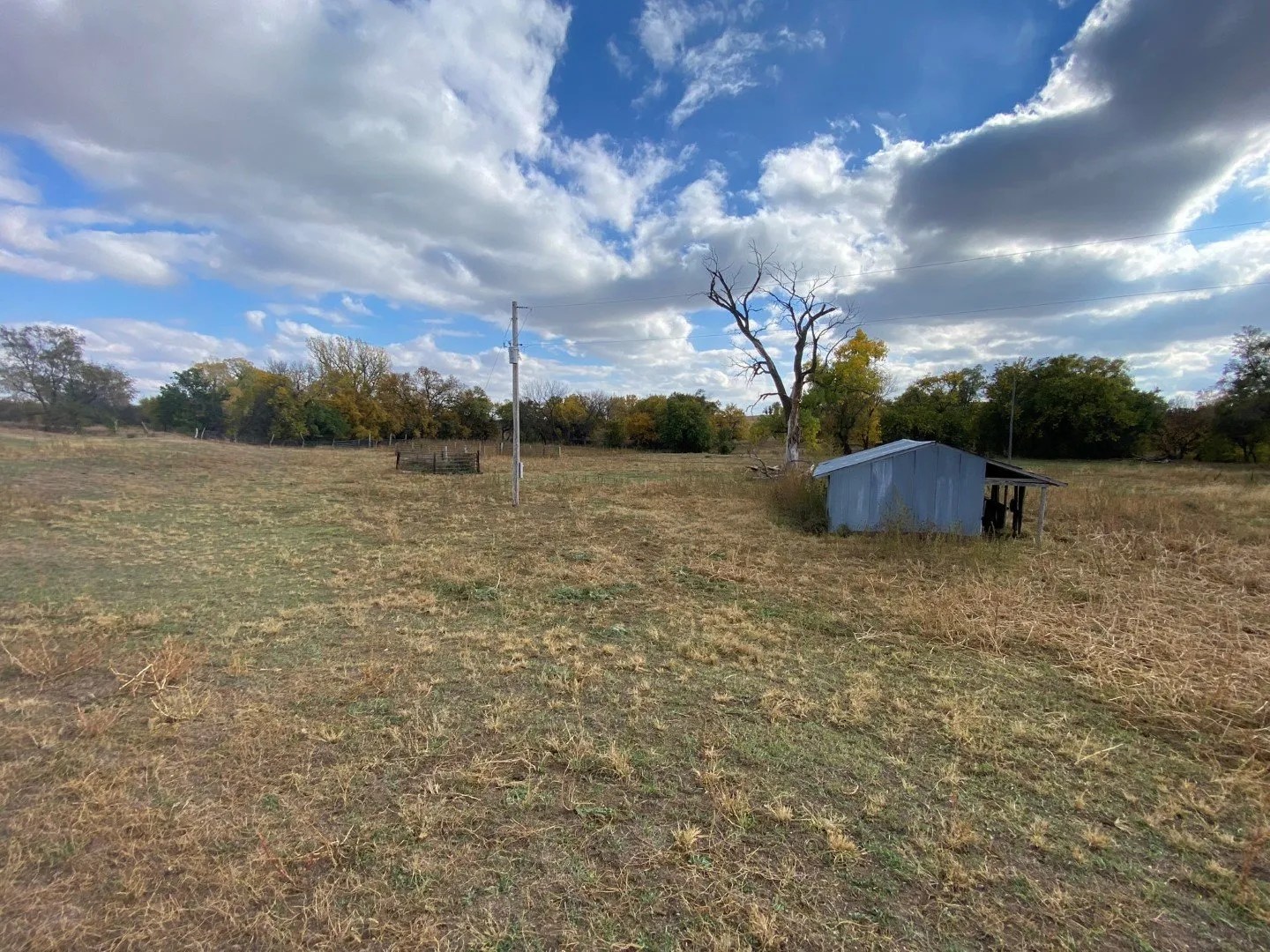 77 Acres Jewell County, KS Land With Pond, Electric & Well Wildlife