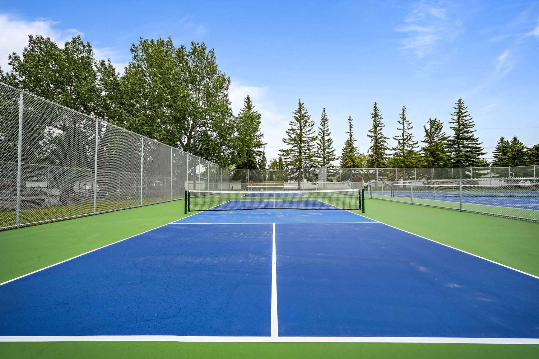 Courts (Tennis & Pickleball) Willow Ridge Community Association