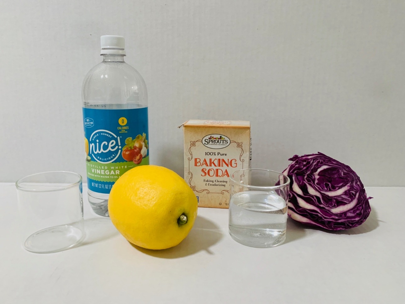 Red Cabbage pH Indicator Science experiment My World Their Way