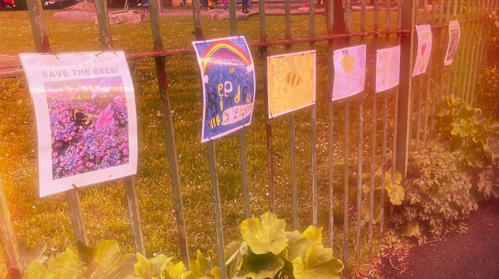 Wray Crescent Park User Survey 2021 Friends of Wray Crescent