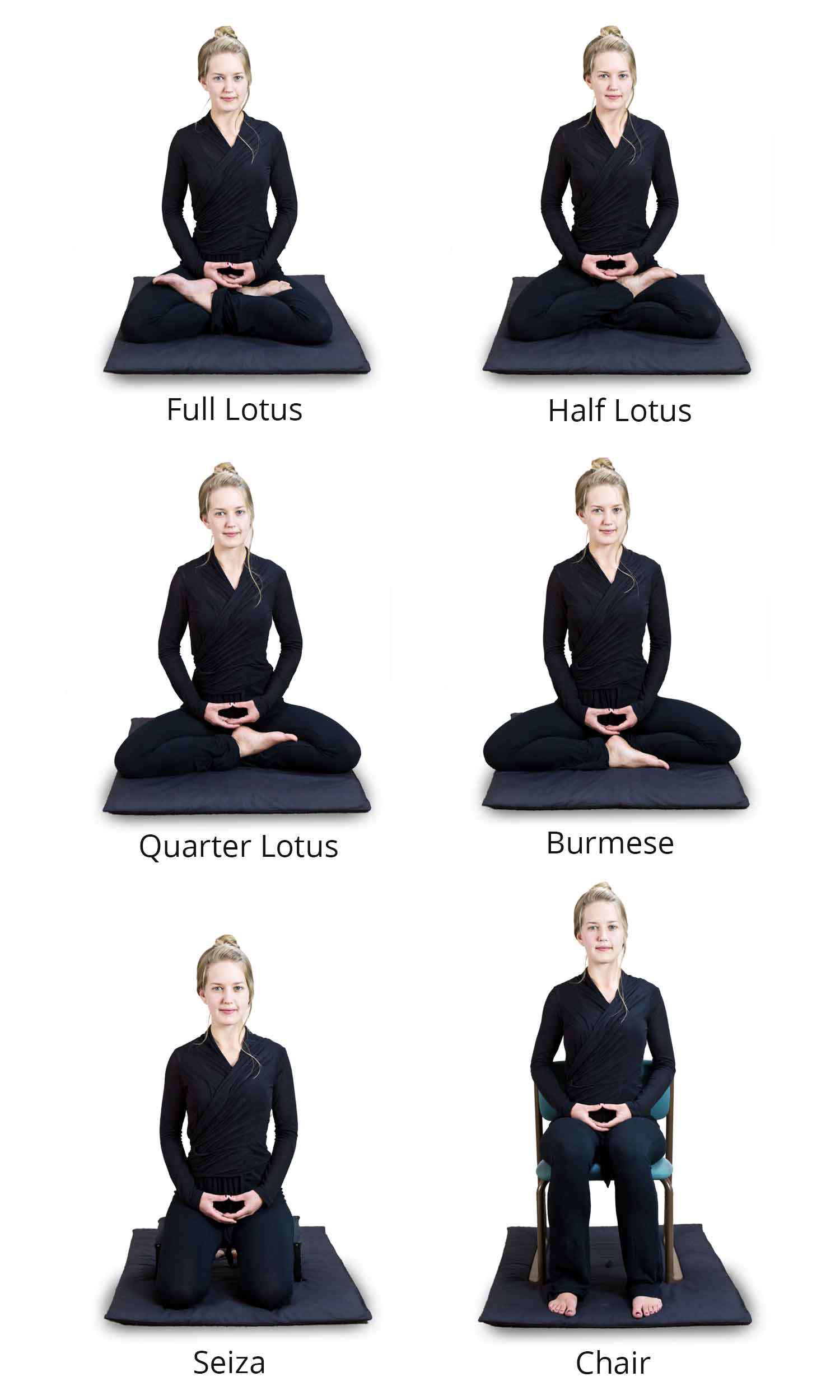 yoga poses/points of practice to prepare for extended meditation