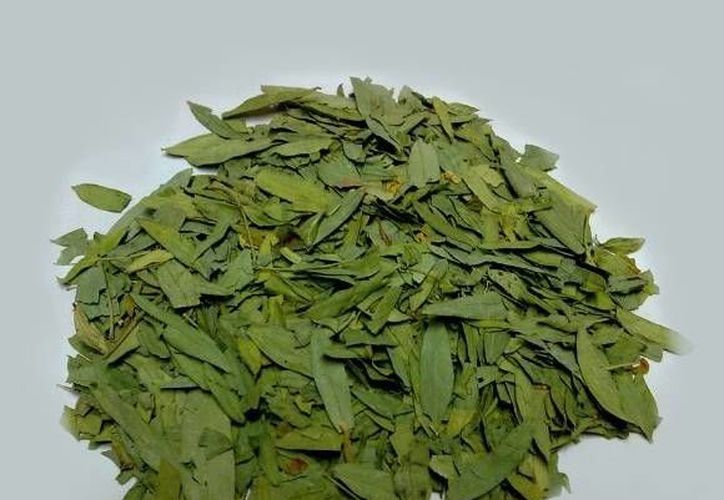 Qué son la hojas de sen y cuáles son sus propiedades N Digital