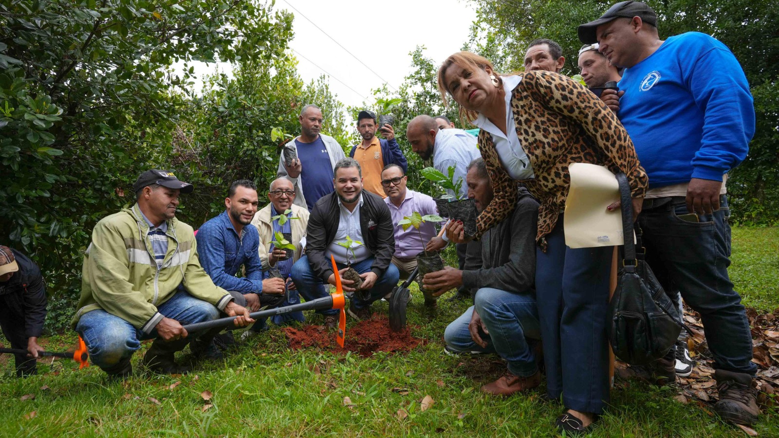 FEDA dona 20 mil plántulas de trifulca y herramientas a agricultores en Colina Blanco, Monseñor Nouel