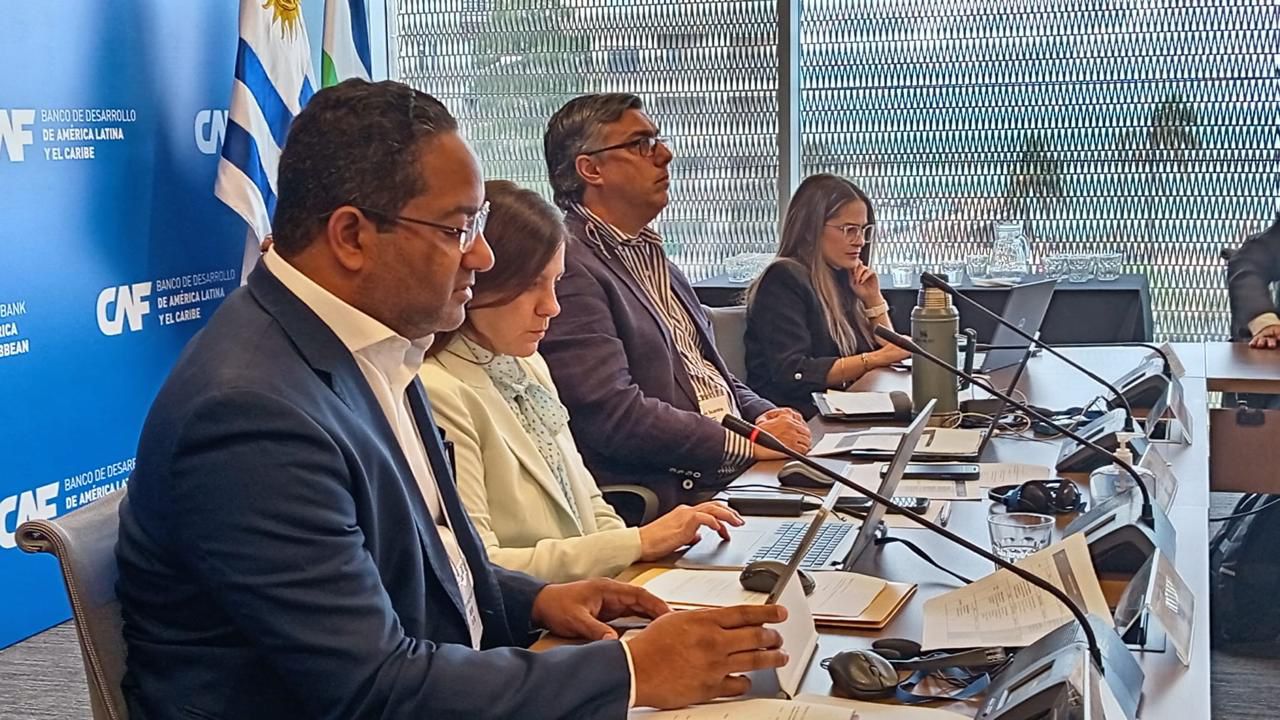 República Dominicana asumirá vicepresidencia del Comité de Discapacidad de la OEA