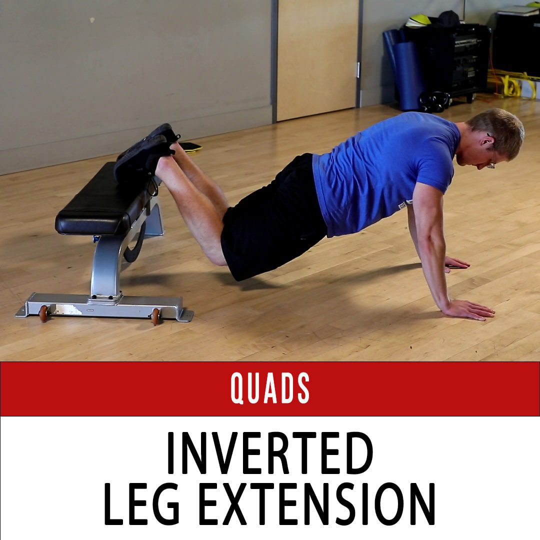 Knee Extension N1 Training