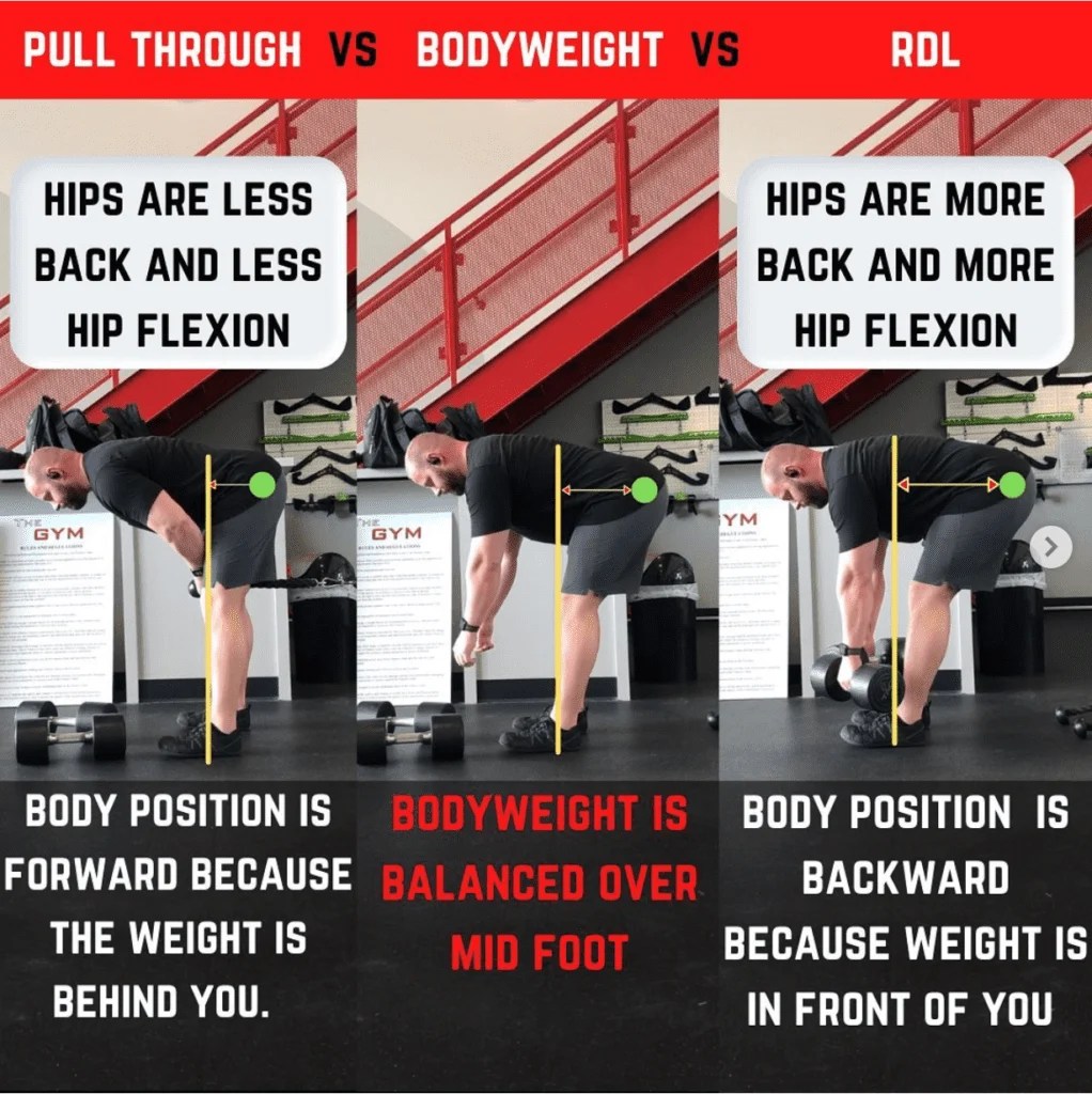 Cable Pull Through The Fake Glute Exercise N1 Training