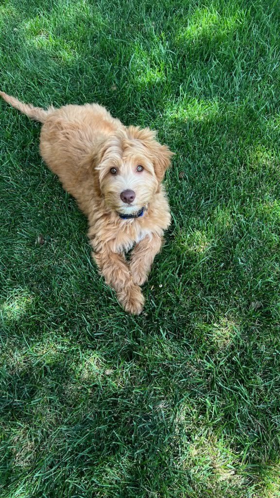 Stroll Magazine Stroll La Paloma Amarillo, TX