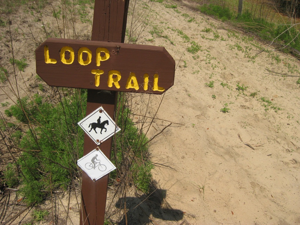 Hiking and Backpacking in Florida N2Backpacking