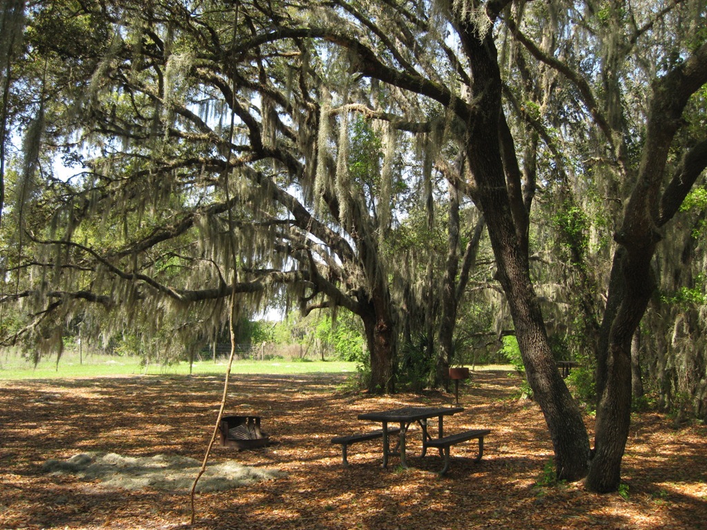 Lake Panasoffkee N2Backpacking