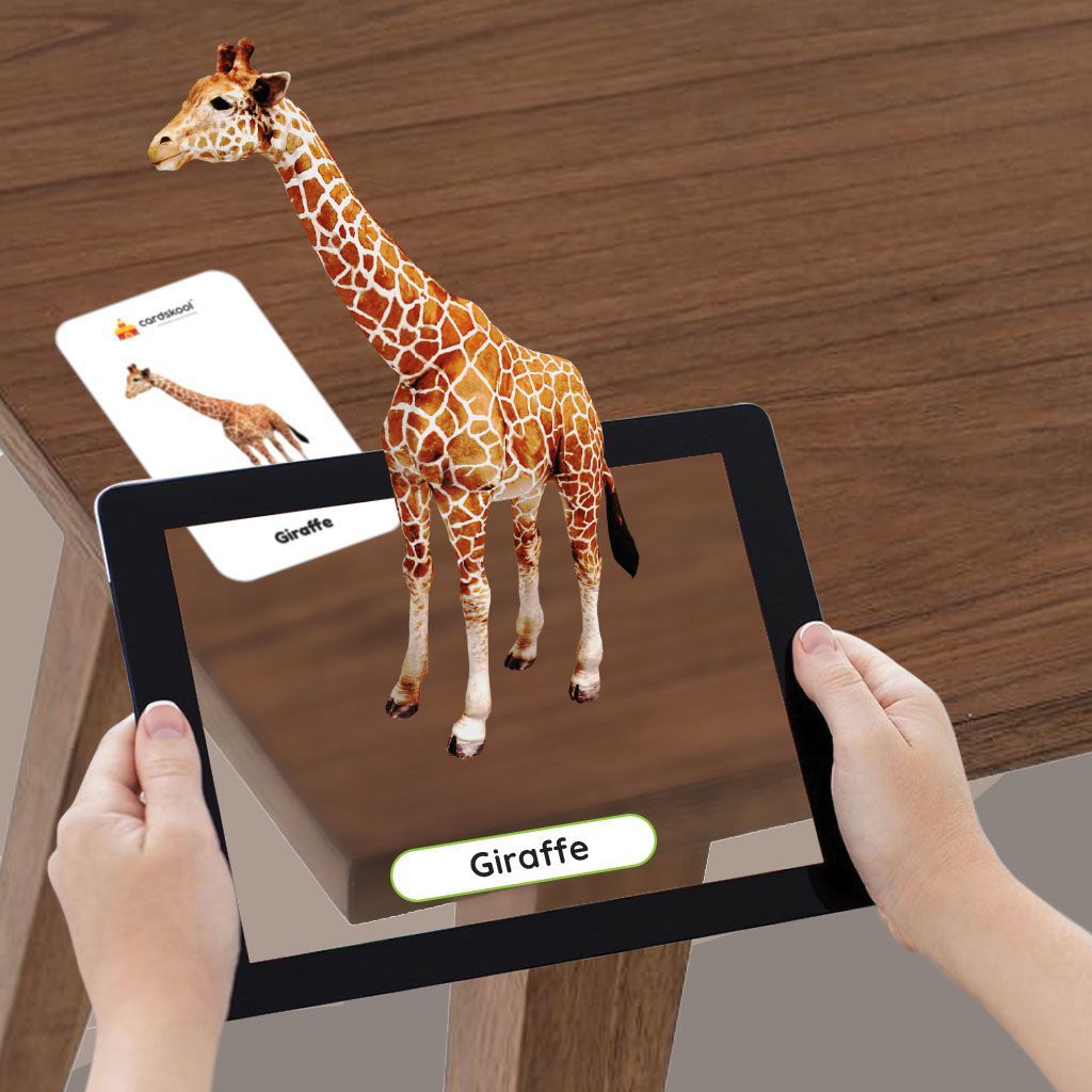 Cardskool Animals Augmented Reality Learning Flash Cards iOS