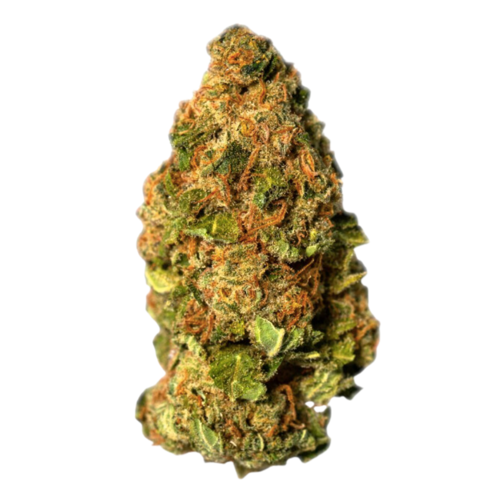 N8V Grown Native American Owned and Operated Medical & Recreational