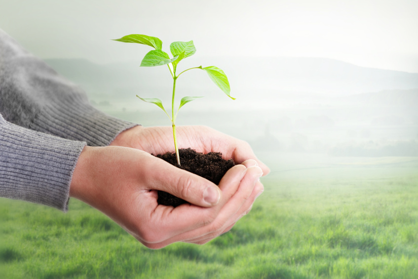 NACCE » Example of Cultural Ecology