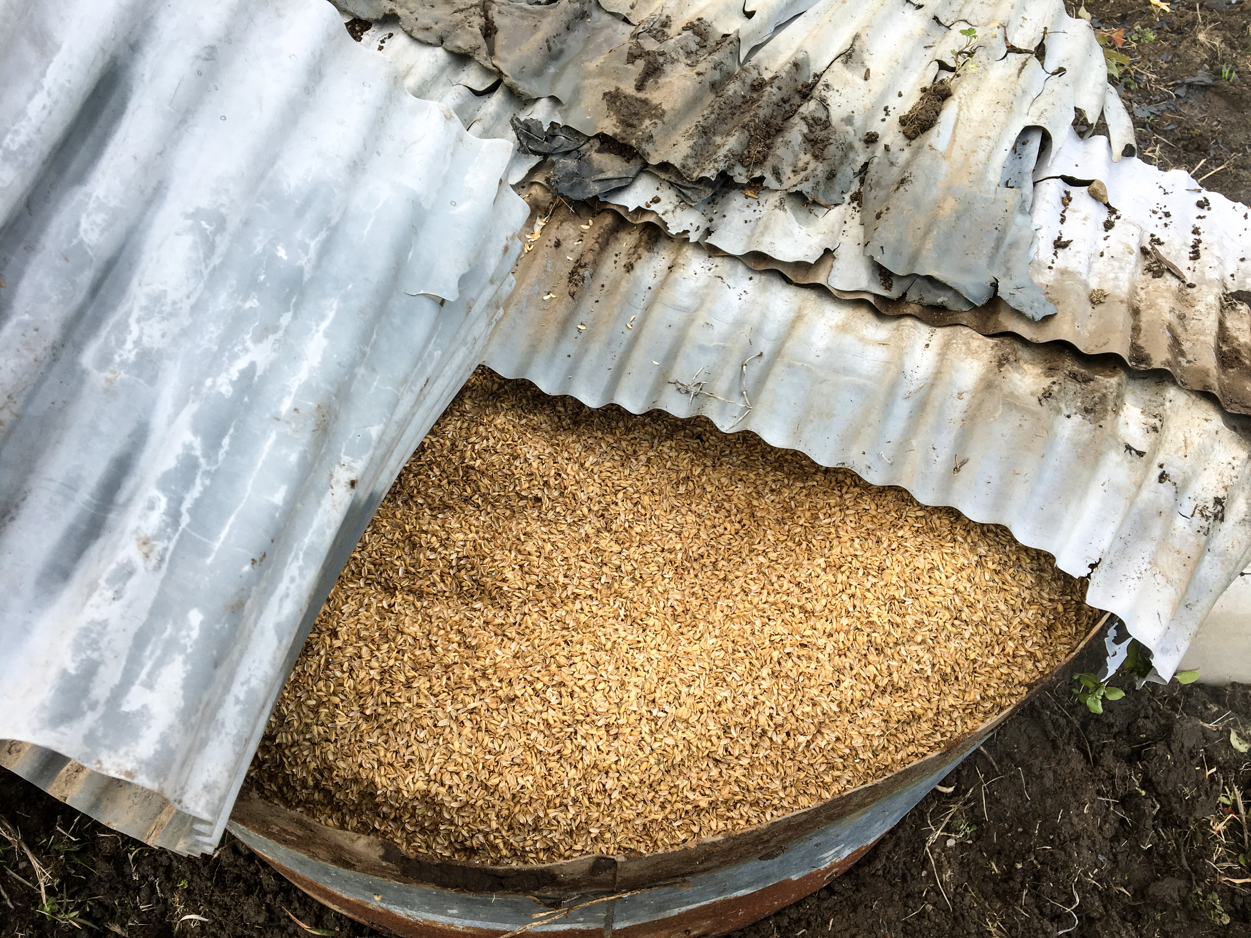 7+ 火 起こし きり もみ 作り方 Ideas