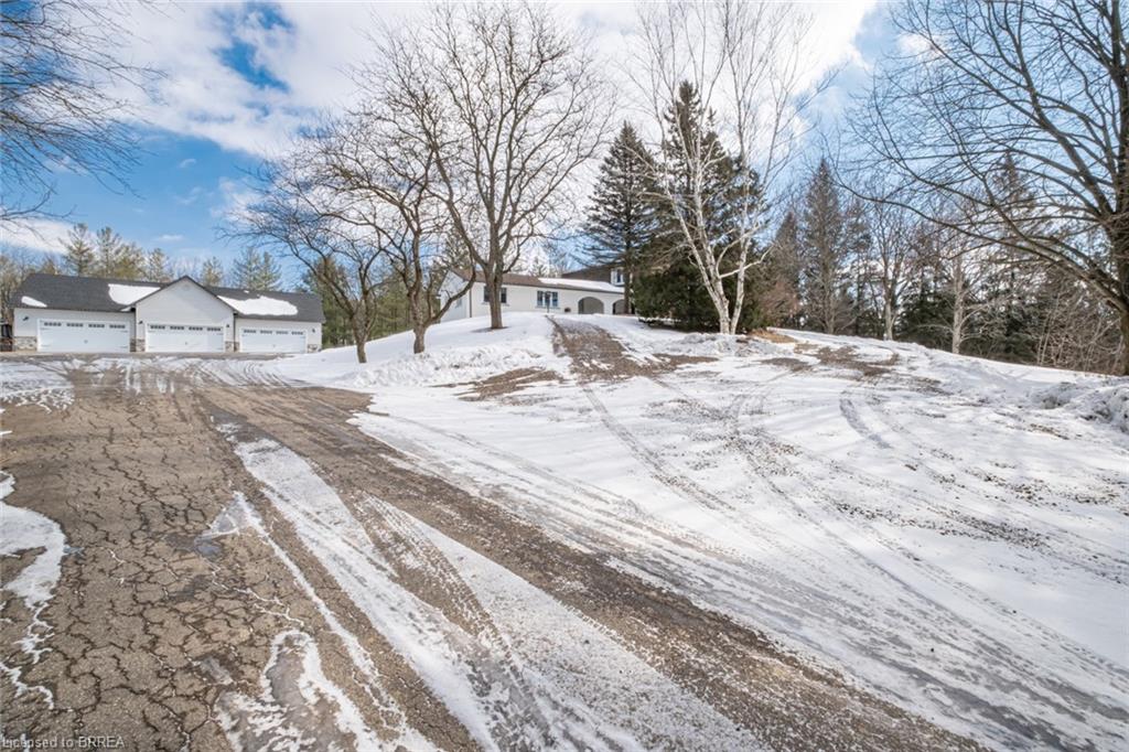 Real estate professional in the Brantford Area Nadene Aasla Realtor