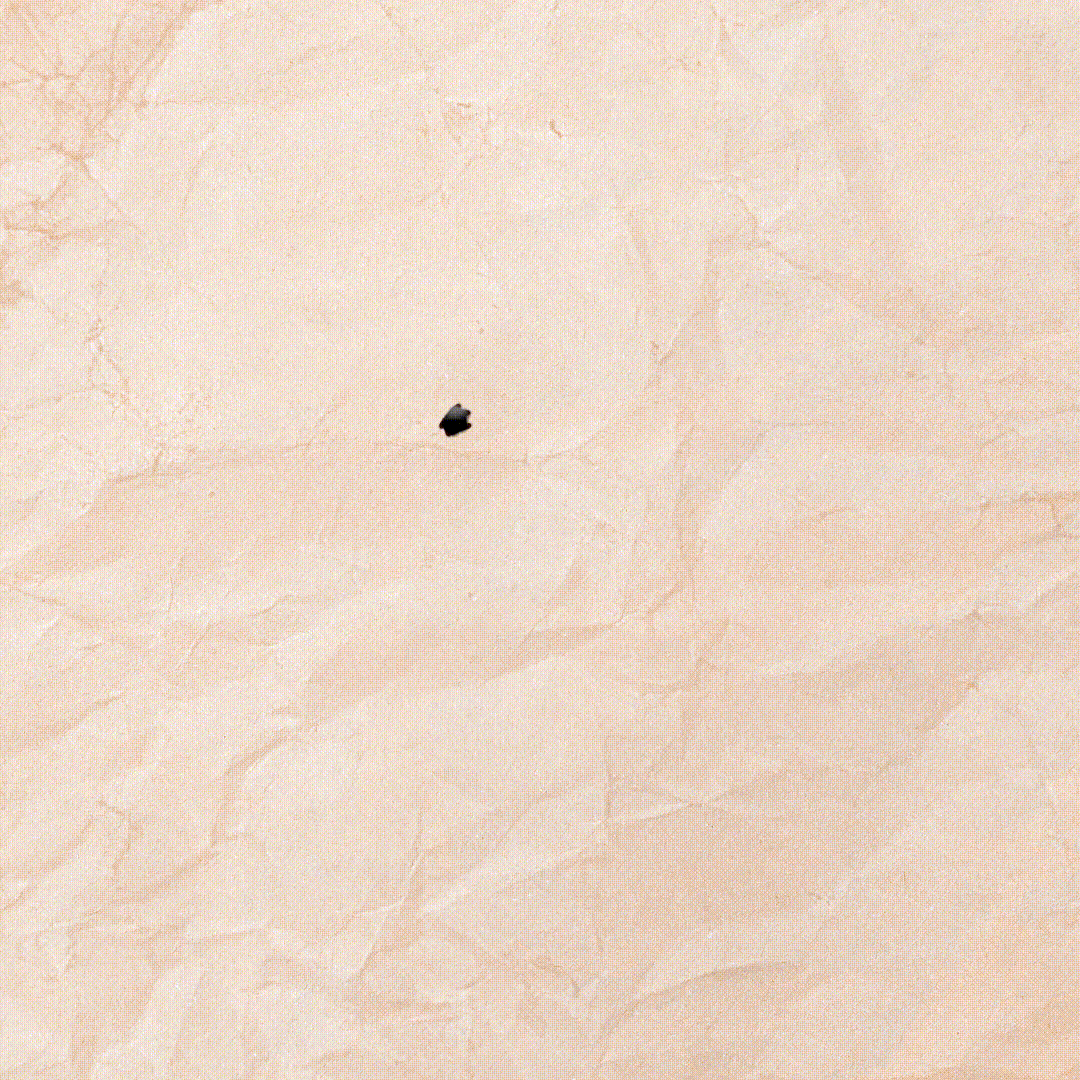 Jasmine Restaurant Houston at Laurel Hill blog