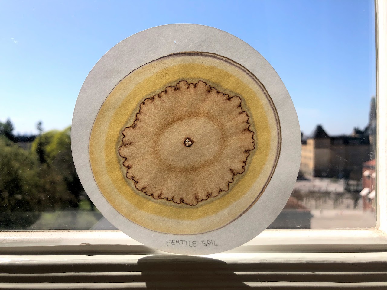 Soil chromatography biomenstrual 🩸🌿 project blog