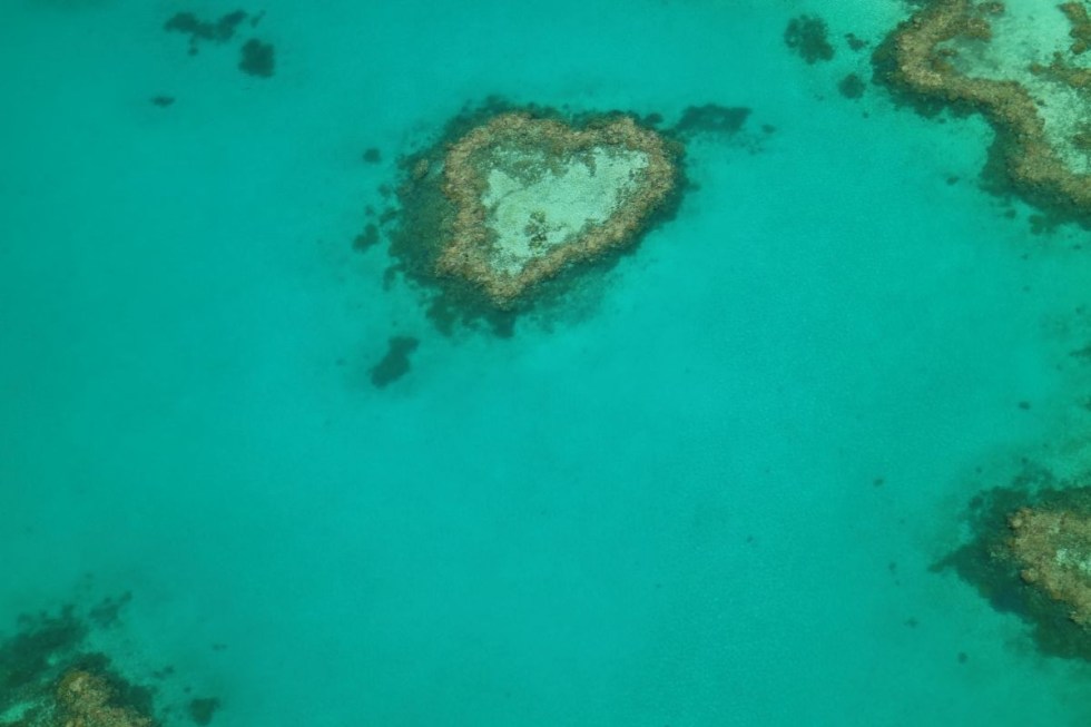 The famous heart reef at the Whitsunday Islands