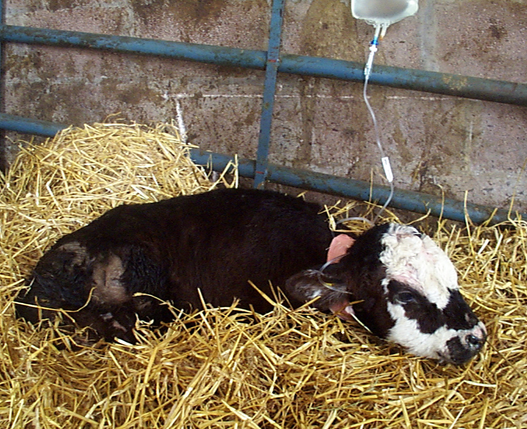 NADIS National Animal Disease Information Service