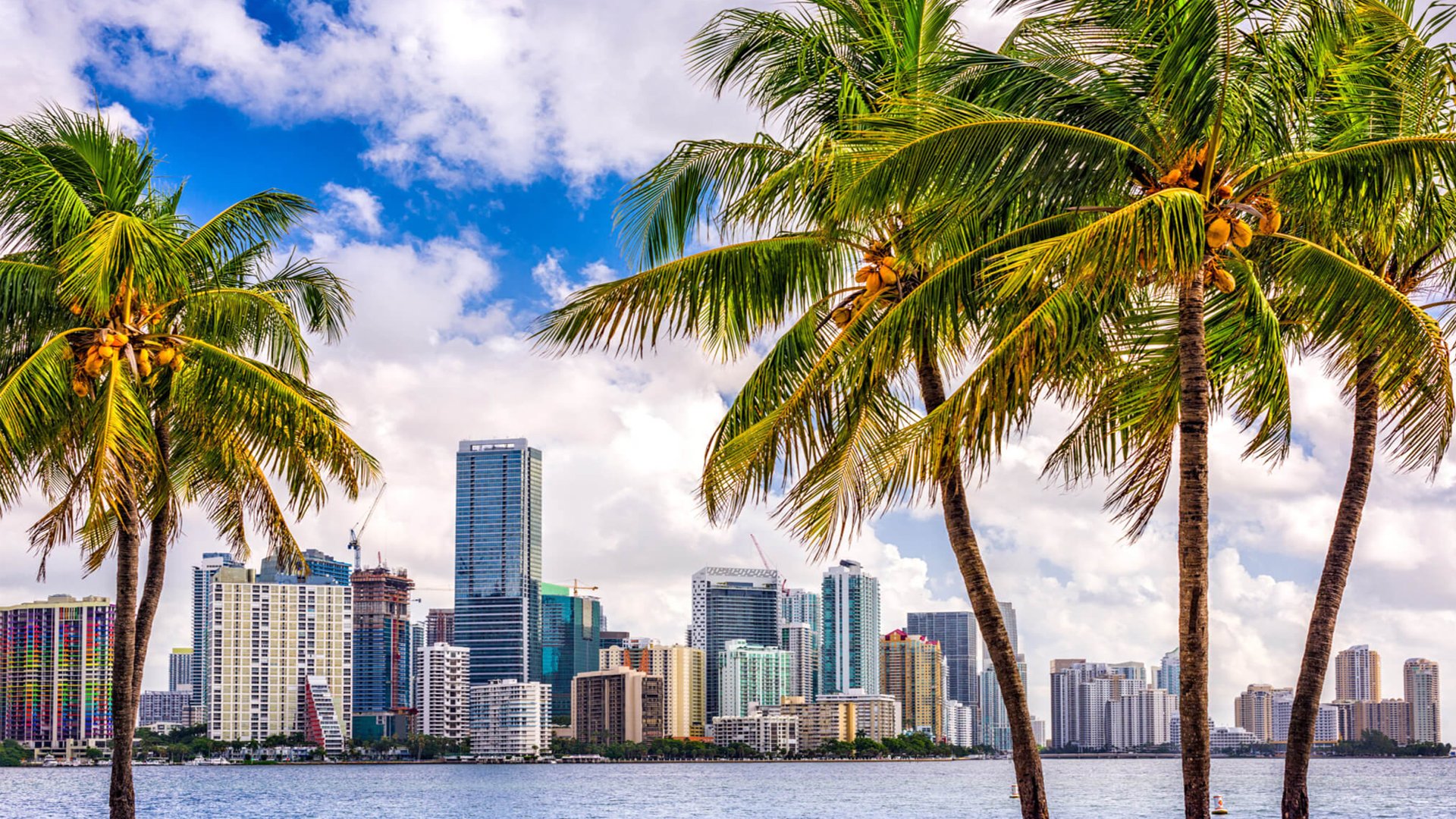 Top 10 reasons to move to Miami! Nadlan In Miami