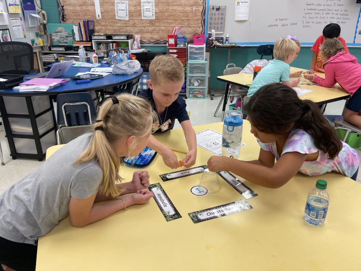 New Albany Elementary School New Albany, MS