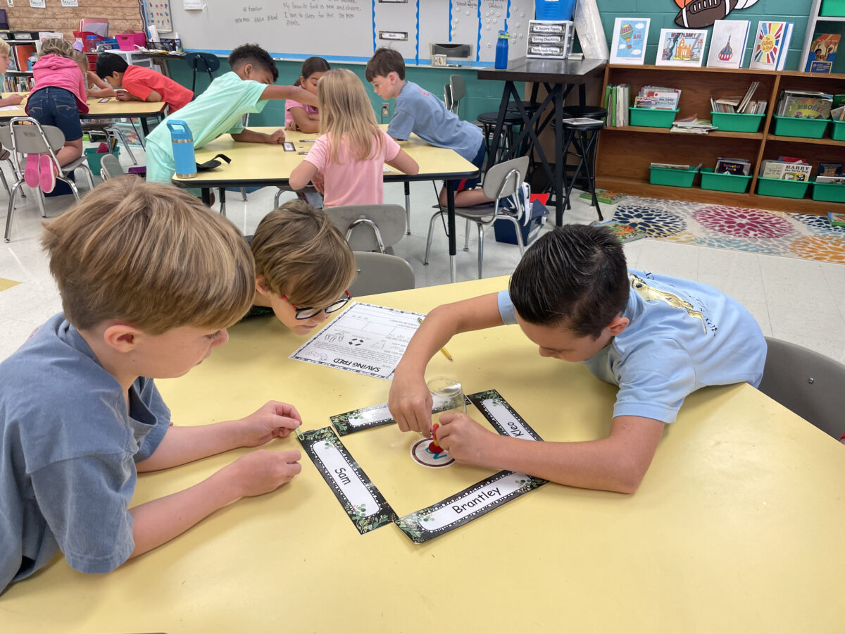 New Albany Elementary School New Albany, MS