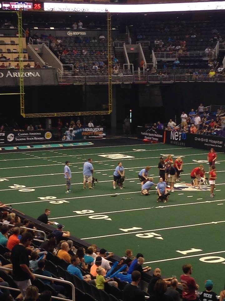 Arizona Supercharged Flyball Region 6 (Gilbert, Arizona) NAFAblog