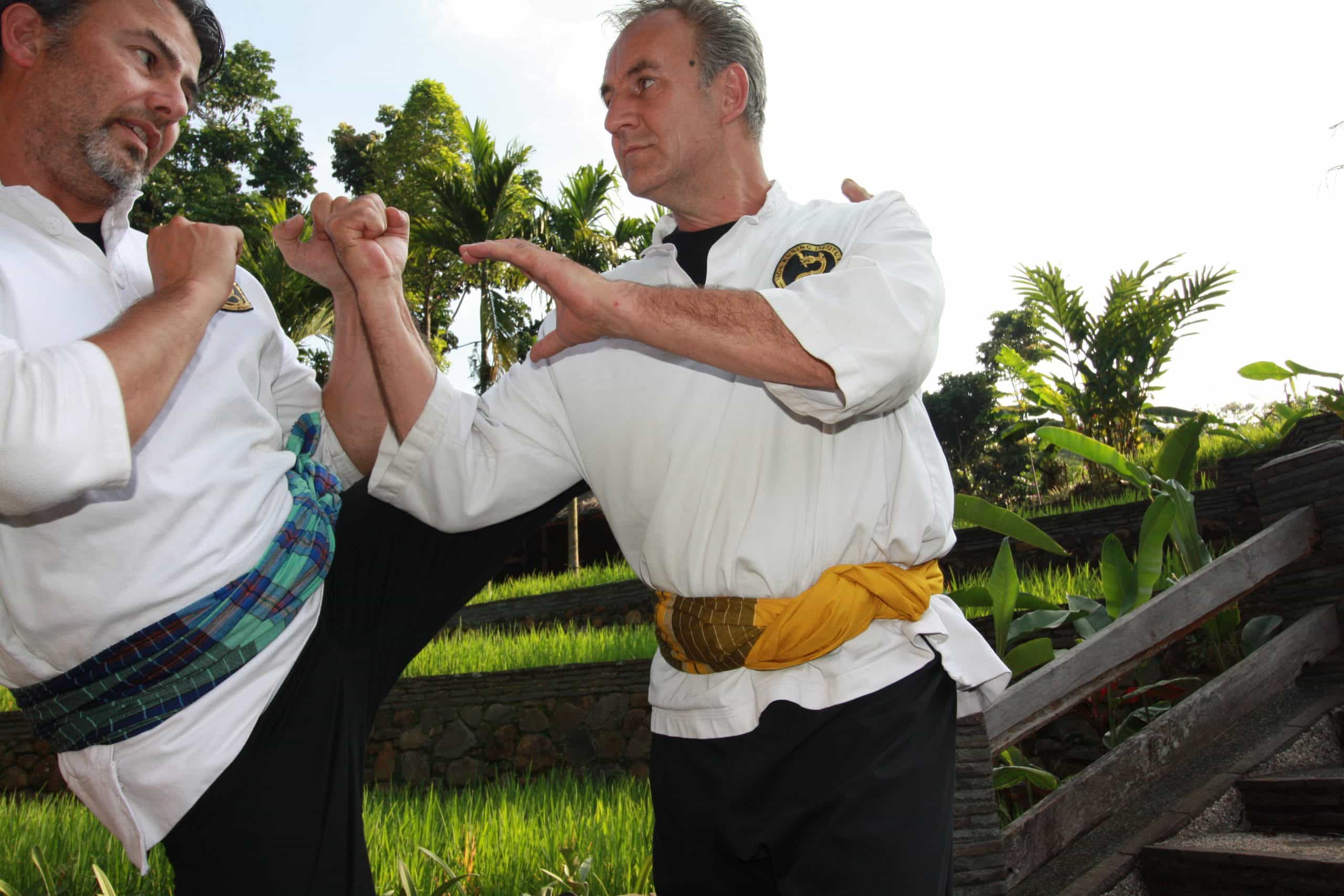 Pukulan Pencak Silat The Art of Striking Naga Kuning Institute