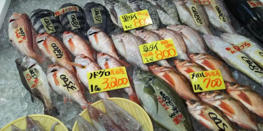 まるでお魚天国♪寺泊の魚の市場通り｜旅の特集｜【公式】長岡観光ナビ 新潟県長岡市の観光・旅行サイト