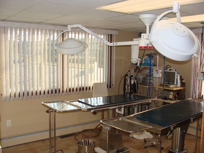 Our Location North Andover Haverhill Animal Hospital