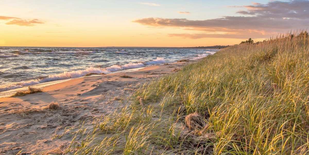 Summer Beach Background. Remote beach bathed in golden light with sand