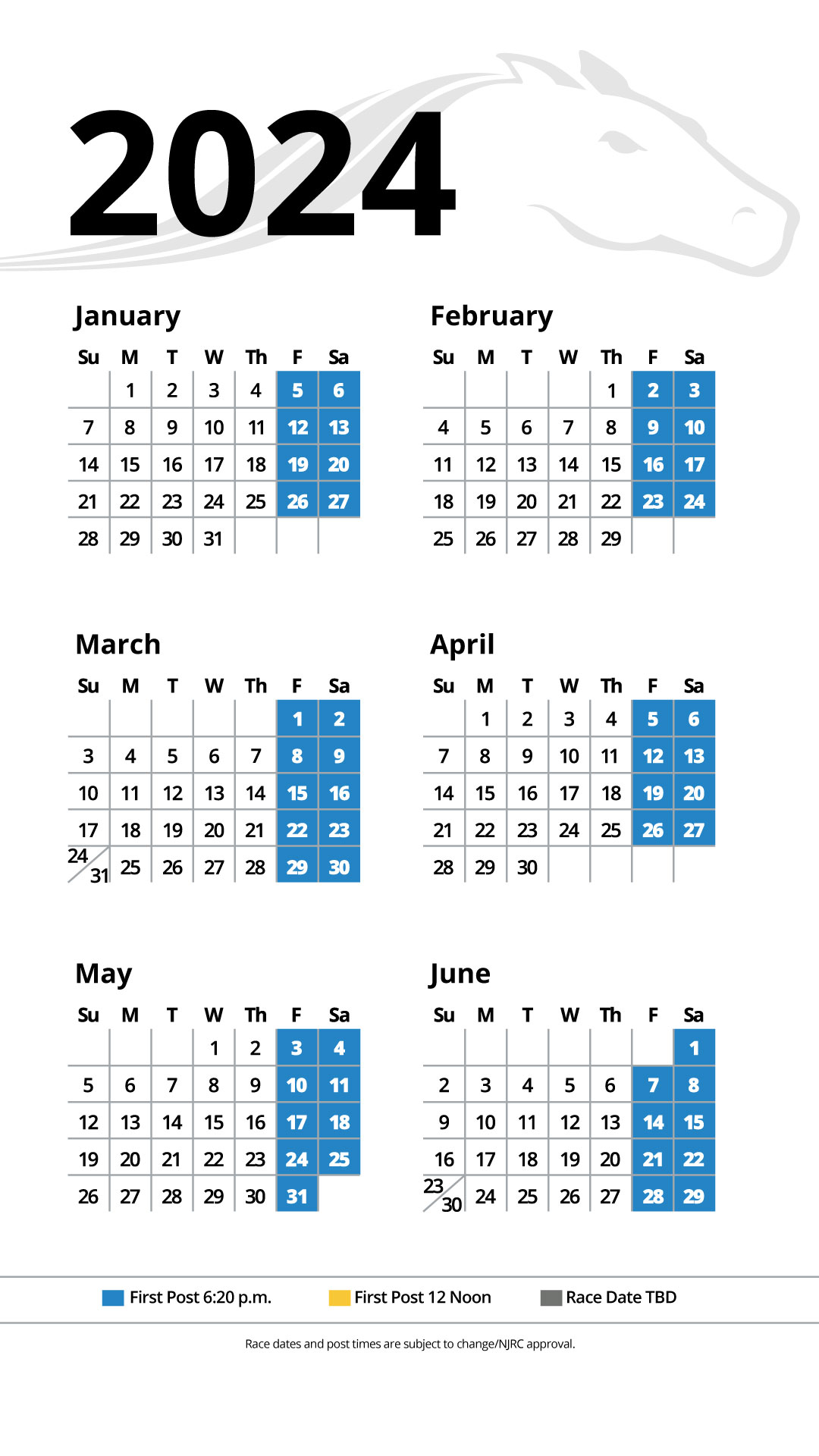 Meadowlands Picks Flash