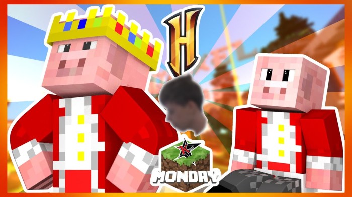 Technoblade net worth