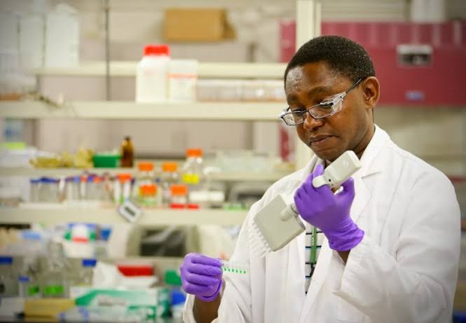 List Of Jobs For Biology Graduate In Nigeria and Skills Needed